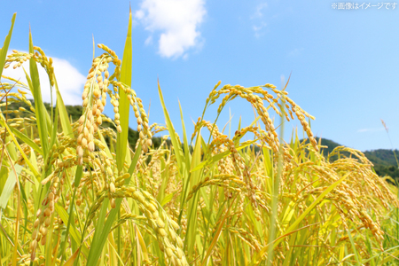 米 令和7年産 富富富 玄米 10kg