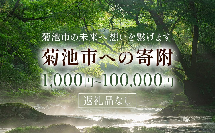 
                  菊池市への寄附(返礼品はありません) 熊本県 菊池市 返礼品なし 1口 1,000円 1,000～100,000円
                