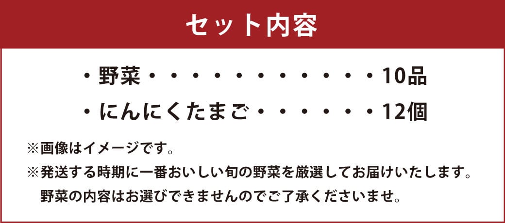旬の野菜とたまごのセット 野菜 10品 にんにくたまご 12個 やさい 卵 詰め合わせ 詰合せ 【メロンドーム】