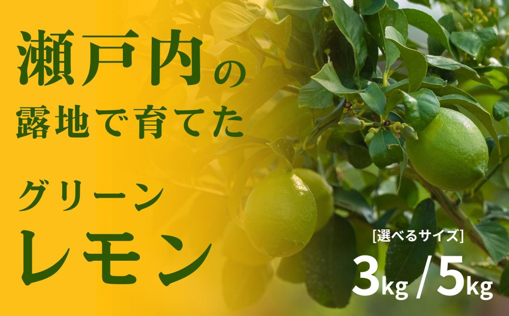 
            [予約] 10〜11月発送 瀬戸内の露地グリーンレモン 3kg/5kg 選べるサイズ 皮まで丸ごと食べられる ワックス不使用 防腐剤不使用 安心 広島 大崎上島 せとうち 檸檬 柑橘 健康 ビタミンC クエン酸
          
