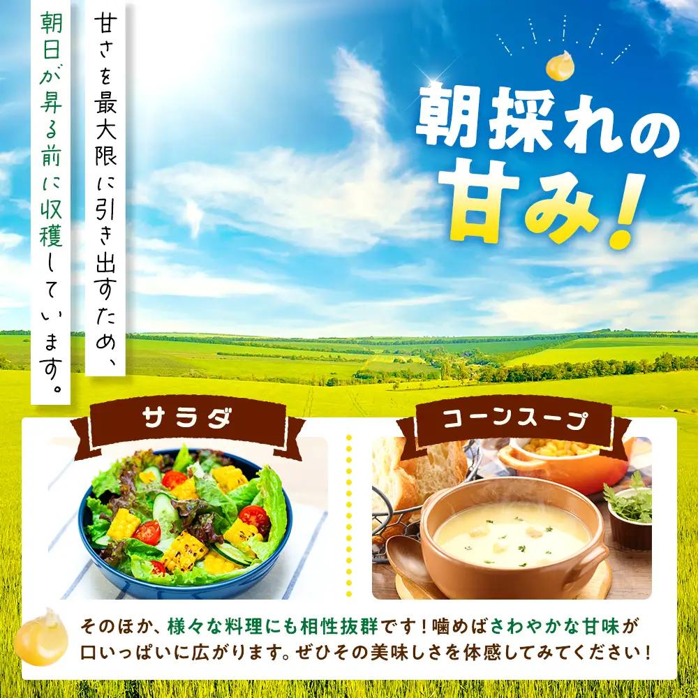 【2027年先行予約 6月下旬から出荷】 スイートコーン 約5kg 10-14本 冷蔵 国産 先行予約 数量限定 コーン 野菜 新鮮 焼き 蒸し 産地 直送 甘い 甘口 子ども 子供 小分け 種子 肥