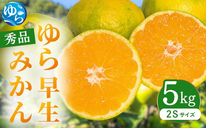 
            【先行予約】ゆら早生みかん 秀品 2Sサイズ 5kg 贈答用※2025年10月頃に順次発送予定 / ゆら早生 柑橘 極早生 フルーツ 果物 くだもの 食品 人気 おすすめ 送料無料 由良町 【ksmt003】
          