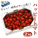 【ふるさと納税】ハッピートマト2kg