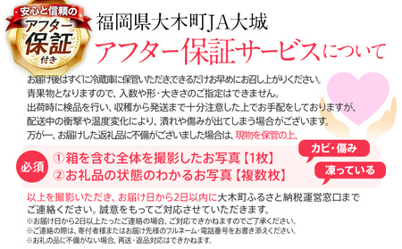 【アフター保証】福岡県産 JAグループ あまおういちご 1620g（約270g×6パック）【2024年3月中旬以降発送開始】 AG009-1