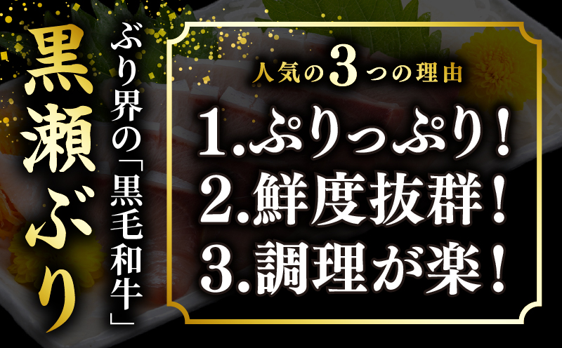 ＜2026年6月発送分＞活じめ！黒瀬ぶりの生鮮ブリロイン2節（1.0kg前後）_K001-012-2606