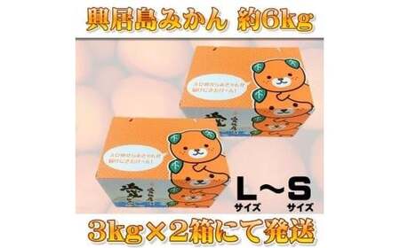 【先行予約】【2024年11月下旬頃発送】興居島みかん 約6kg（L～Sサイズ） みかん 柑橘 興居島 ごごしま ブランド【SSK001_x】