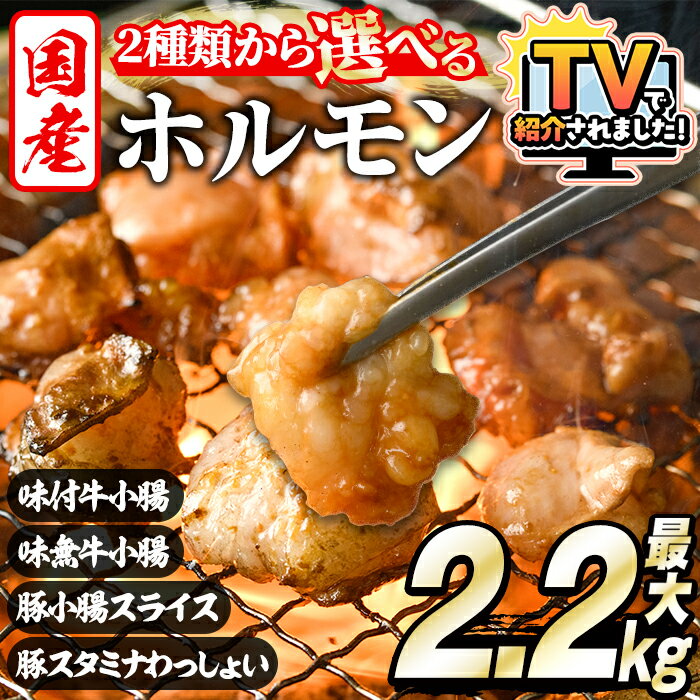 ＜選べる3種＞ホルモン(牛×豚ホルモン4種 合計2.2kg/牛ホルモン2種 合計2kg/牛ホルモン 計5kg) 大容量 国産 小腸 味付 パック 詰め合わせ 鍋 モツ おかず 小分け 個包装 焼肉【スターゼン】