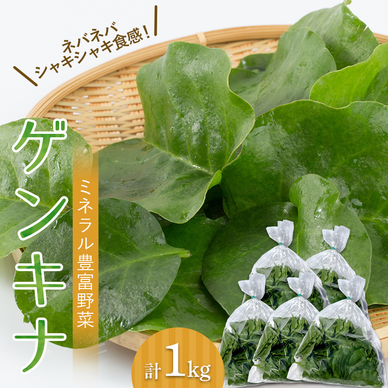 【ミネラル豊富野菜】 ゲンキナ 1kg F20C-948