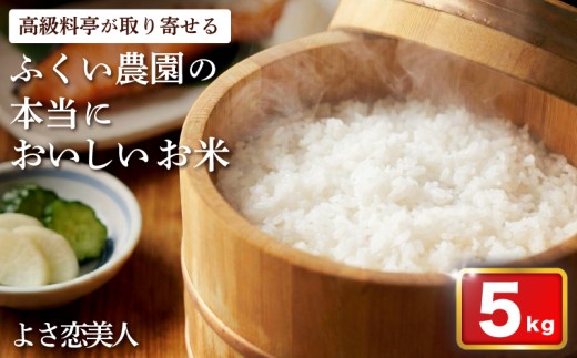 令和8年産 よさ恋美人 5kg  ふくい農園