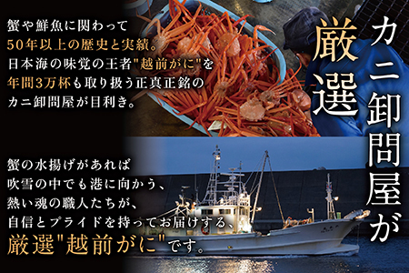 越前がに(オス) 訳あり　600g以上× 1杯   越前ガニ　カニ　冷蔵