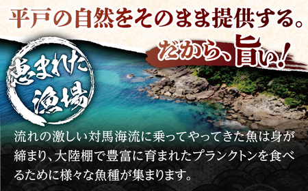 【6回定期便】旬鮮平戸干物種詰合せ【株式会社　森崎水産】[KAD105]/ 長崎 平戸 魚介類 魚 干物 乾物 開き 鯛干物 たい干物 さば干物 スルメ干物 イカ干物 あじ干物 アジ干物 いわし干物 