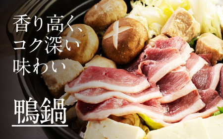 鴨肉のしゃぶしゃぶ 400g あいち鴨肉 堪能 スライス肉 かも ご当地 国産 鴨 合鴨 鍋料理 鍋 もつ鍋 牛もつ を取り扱う 人気 鳥市精肉店 10000円 豊橋市