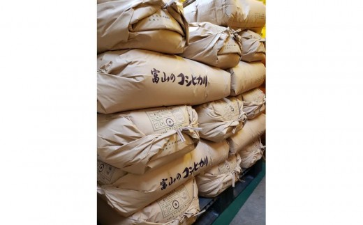 
                  【令和8年産】みどりふぁーむの天然海藻肥料栽培コシヒカリ玄米30kg
                