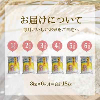 ふるさと納税 えびの市 【毎月定期便】えびの産 ひのひかり 3kg全6回 |  | 01
