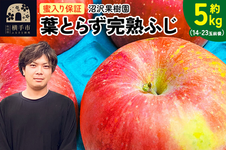 【先行受付】12月上旬より発送 《蜜ライトで蜜入り保証！》葉とらず完熟ふじ 約5kg りんご