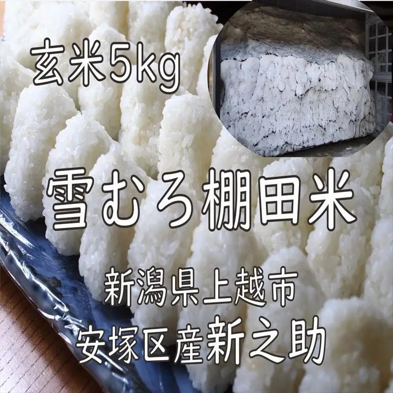 令和7年 新潟県産 棚田米 新之助 玄米 5kg 5キロ 雪中貯蔵 雪むろ しんのすけ お米 こめ 新潟 上越 米 送料無料