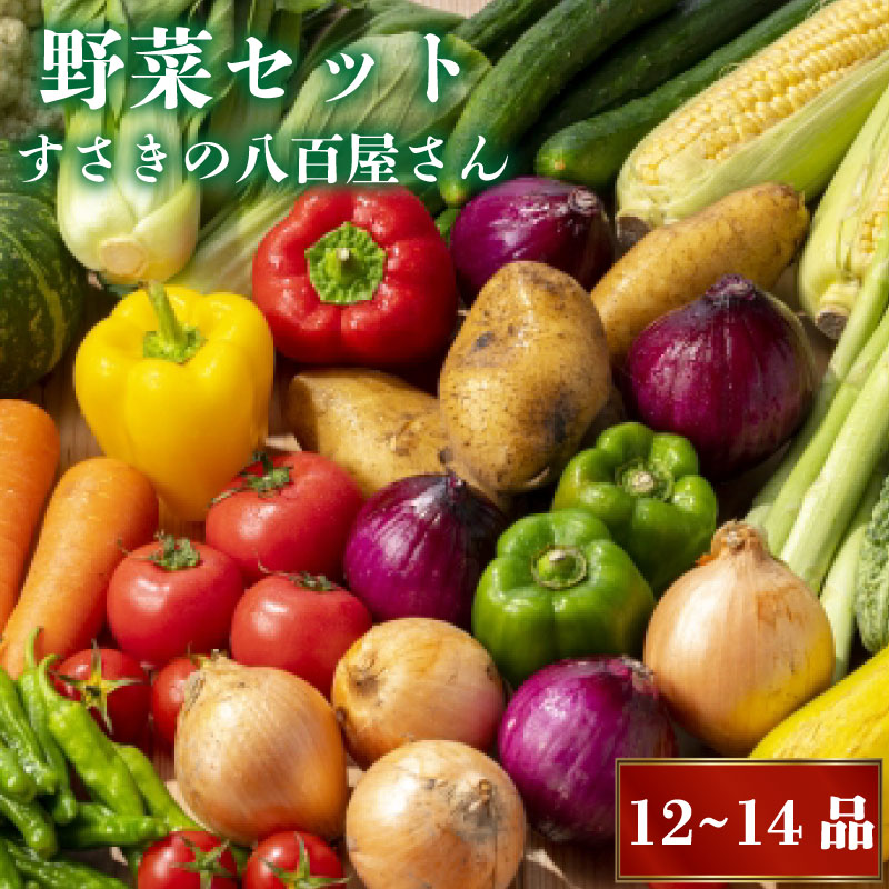 【ふるさと納税】 新鮮お野菜 12～14品目 2人暮らしセット 詰め合わせ 季節 旬 新鮮 産地直送 春夏秋冬 旬 人気 ふるさと納税 野菜 ふるさと納税 セット ふるさと納税野菜 ふるさと納税セット ふるさと納税詰め合わせ 高知県 須崎市 NK002