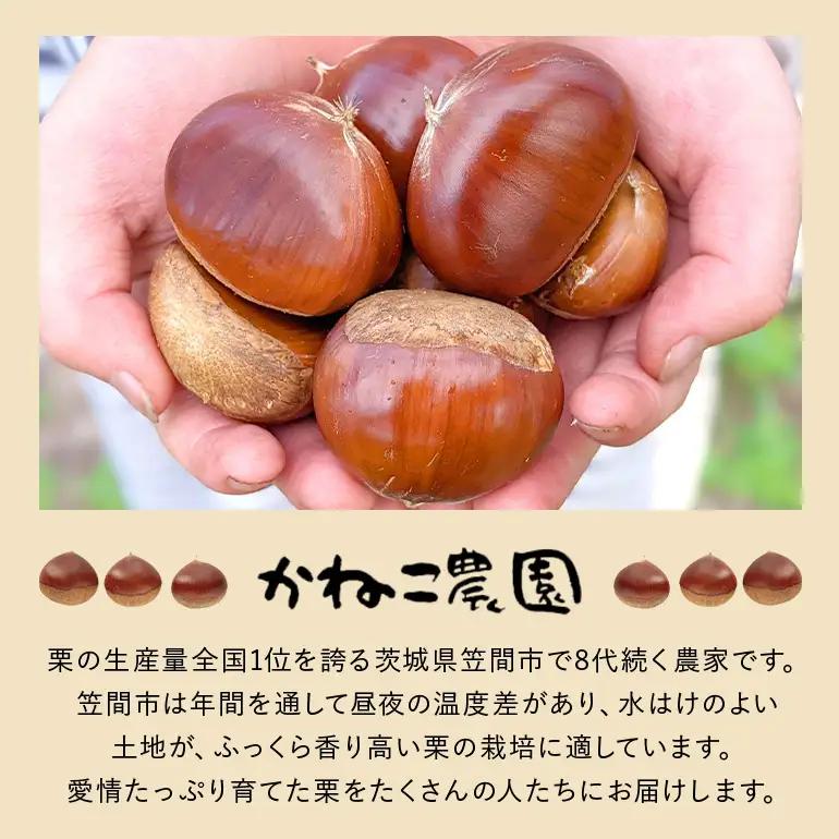 訳あり荒むき栗（500g×2パック） JO-023