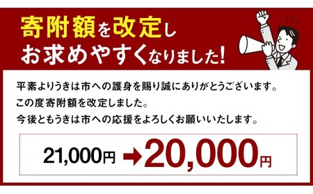 《令和7年産》 福岡県産 夢つくし 精米 10kg （5kg×2袋） こめ コメ ごはん ご飯 コシヒカリ キヌヒカリ 白米 令和7年度米 単一原料米 ブランド米 福岡県 うきは市 常温