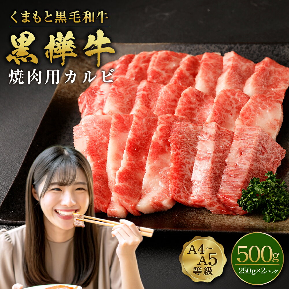 【ふるさと納税】くまもと黒毛和牛 黒樺牛 A4~A5等級 焼肉用カルビ 合計500g (250g×2パック) 牛肉 牛 霜降り 赤身 お肉 焼き肉 BBQ 黒毛和牛 国産 九州産 熊本県産 冷凍 送料無料