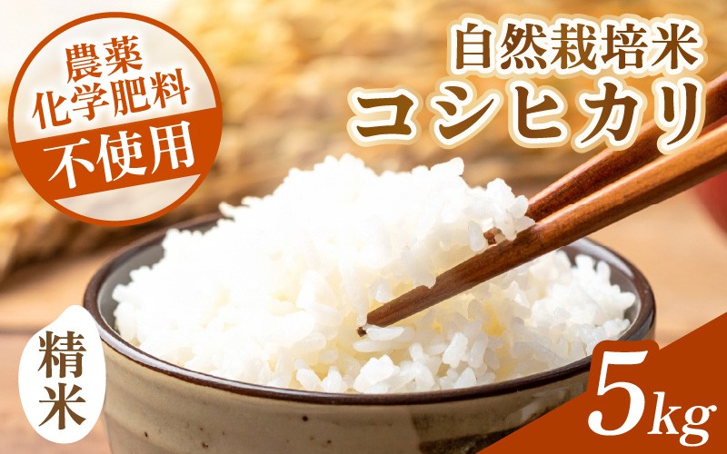 
                  【先行予約】【令和8年産】コシヒカリ 精米 5kg 化学肥料 農薬不使用 自然栽培米 / 北陸 福井県産 あわら市 ブランド米 白米 お米 コメ ※2026年10月上旬以降順次発送予定 [aw138-b002]
                