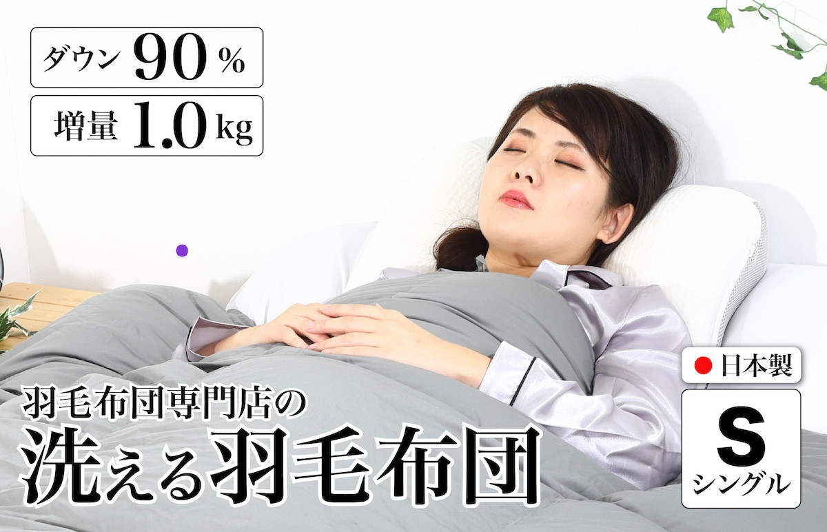 
            洗える羽毛布団 シングル 無地グレー ダウン90% 1.0kg 立体スクエアキルト 8か所ループ付き 洗濯可能 日本製 洗える布団 シングル布団 ふとん 布団 寝具 羽毛 布団 羽毛布団 寝具 掛け布団 掛布団 寝具 布団 ふとん 布団 寝具 ふとん 掛けふとん ふとん 布団 寝具 羽毛 布団 羽毛布団 寝具 羽毛ふとん 布団 羽毛布団 羽毛 洗える 羽毛布団
          