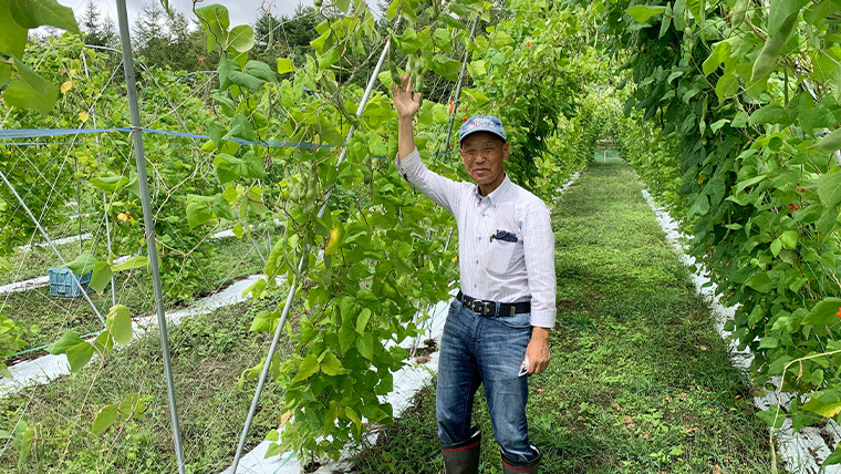 【 10月 下旬発送開始】 嬬恋村 浅間高原特産【 大粒 】花豆 甘露煮 5袋 花まめ 花豆 群馬 国産 黒豆 煮豆 おせち 和菓子 スイーツ お菓子 お取り寄せ [AI004tu]