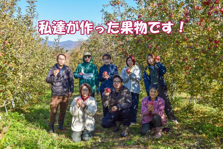【2026年産】 シャキシャキ葉とらず ふじりんご 約5kg 特別栽培農産物 長野県産 りんご リンゴ フルーツ 果物 おやつ デザート 信州 上田 贈答用