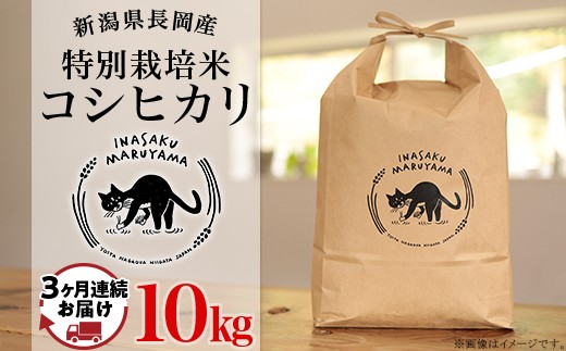 L4-8K103A【3ヶ月連続お届け】新潟県長岡産 特別栽培米コシヒカリ 10kg