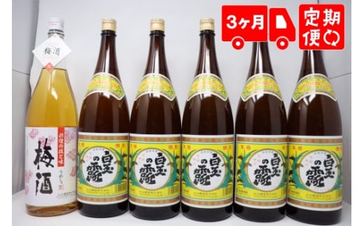 【ふるさと納税】TK-150-2【3ヶ月定期便】白玉醸造 《白玉の露・梅酒》焼酎6本セット（1升瓶）