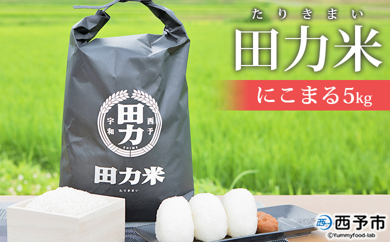 
            令和7年産 田力米（にこまる）5kg
          