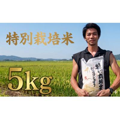 ふるさと納税 新発田市 令和7年産!自然の恵みと安心を凝縮した、新潟県新発田市産 「特別栽培米こしひかり」5kg(白米)