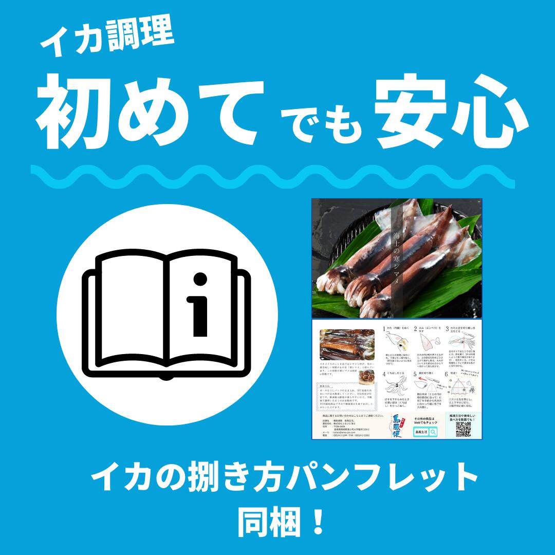 【のし付き】朝どれ寒シマメ（スルメイカ）丸ごと5本 冷凍 刺身 ＜便利な個包装＞_イメージ4