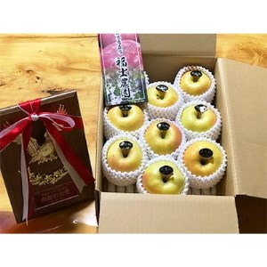 「とき」約3kg・糖度14度以上保証・特選贈答用りんご 青森市長賞受賞【配送不可地域：離島・沖縄県】【1074177】