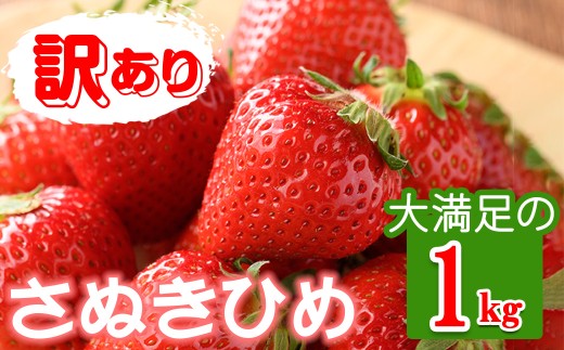 ＜先行予約！2027年3月下旬以降順次発送予定＞＜訳あり＞ ＜選べる容量＞香川県産 さぬきひめいちご(約1kg) 【man106-B】【Aglio nero】