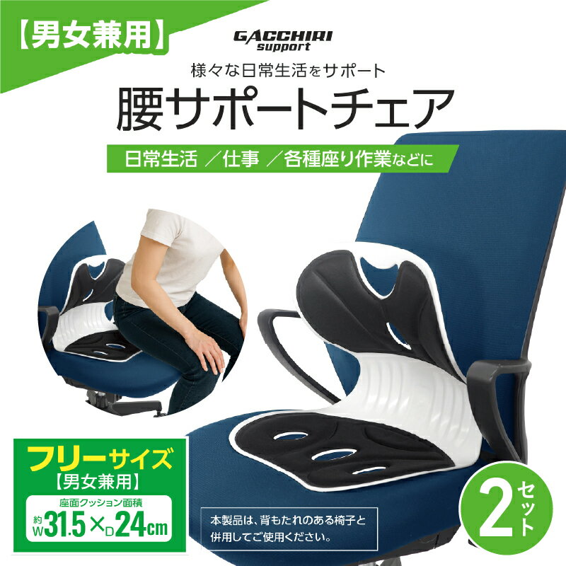 【ふるさと納税】腰サポートチェア 2個セット【 椅子 サポートチェア 日常 座り仕事 座椅子 男女兼用 フリーサイズ 送料無料 】