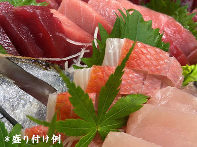 [ととパッチョ] 相模湾のいさき 計240g (60g×4袋)《手軽にカルパッチョができるお魚スライス真空パック －80℃旬間凍結品》 [0915]
