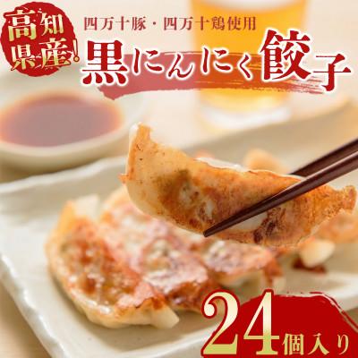 ふるさと納税 須崎市 黒にんにくと四万十豚で作った最高級餃子(6個入り×4パック)