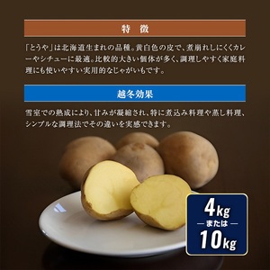 北海道産 熟成じゃがいも とうや 10㎏ 期間限定 雪室貯蔵 十勝産 ジャガイモ じゃが芋 いも 甘い