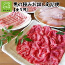 【ふるさと納税】お試し 定期便 全3回 魅惑の【黒】 黒の極み 黒ブランド3種 お肉 黒さつま鶏 もも肉 むね肉 手羽先 黒豚 しゃぶしゃぶ用 スライス バラ ロース 黒牛かわなべ牛 黒毛和牛 A4 ランク以上 切落し 国産 牛肉 豚肉 鶏肉 鹿児島県産 南九州市 送料無料