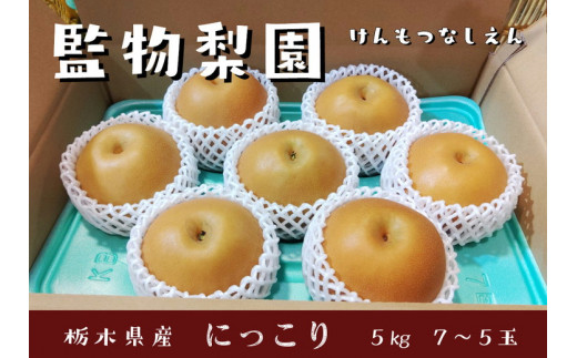 【先行予約】栃木県産　大玉の梨【にっこり】5kg サイズ：7～5玉 ※2026年10月～発送