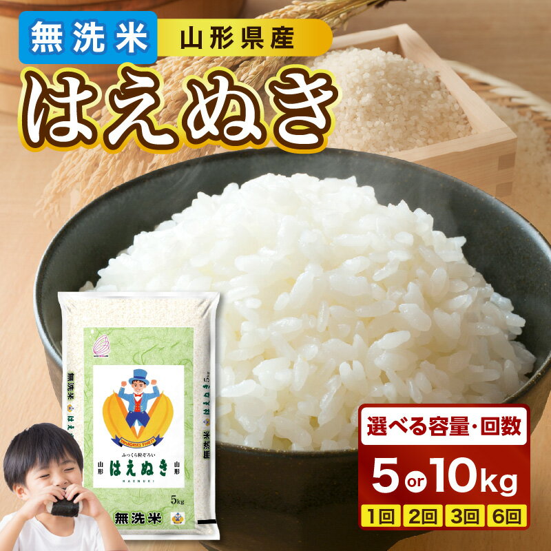 【ふるさと納税】 山形県産 無洗米 はえぬき 選べる内容量（5kg・10kg）・配送回数（1～6回） 令和7年産 2025年産米 BG精米製法 米 ブランド米 お米 精米 単品 定期便