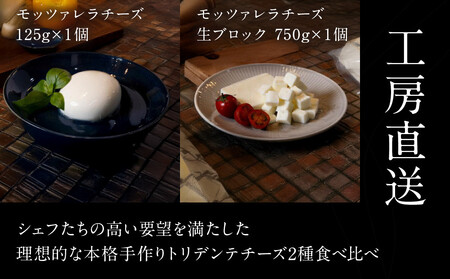 飛騨生乳100％ モッツァレラ1個 &  モッツァレラチーズ生ブロック1個セット | セット チーズ 冷蔵 濃厚 低温殺菌 乳製品 おいしい 人気 チーズ工房トリデンテ LF018