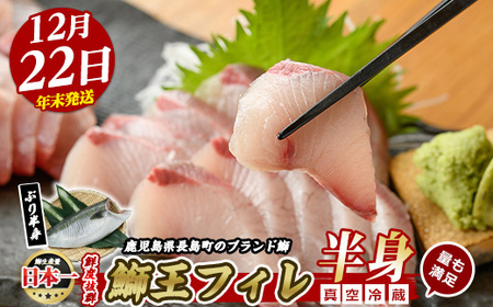 ＜数量限定＞【2025年12月22日発送】『旅サラダ』で紹介ぶりの王様「 鰤王 」 フィレ 半身 (約1.5kg・フィレ1枚) 産地直送 新鮮 旨味が抜群の 長島町 特産品 ブランド ぶり 鰤 ブリ 
