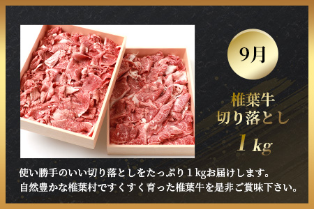 【定期便4回】総重量2.4kg！椎葉牛 大自然の中で味わう焼肉・BBQ定期便≪焼き肉・ステーキ・切り落とし・ローストビーフ≫【A5等級指定 黒毛和牛】【日本三大秘境 椎葉村 育ちの黒毛和牛】