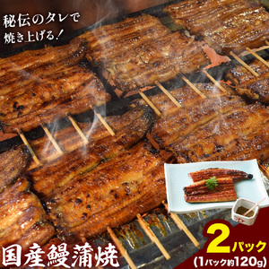 鰻 国産鰻蒲焼 2パック 約 120g ×2 有限会社安井家《30日以内に出荷予定(土日祝除く)》千葉県 我孫子市  鰻 うなぎ 蒲焼 丑の日 蒲焼き 冷蔵 タレ 山椒【配送不可地域あり】(離島)