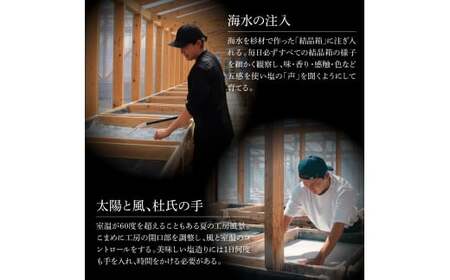 銀象ソルト Ginzo-Salt Standard 100g 塩 しお 調味料 天日塩 完全天日塩 国産 高知県産 ソルト ミネラル 健康 料理 調理 お塩 塩 美味しい【塩杜氏銀象】 [BQBX00