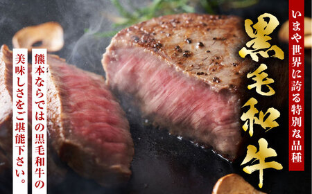 【6回定期便】熊本県産 黒毛和牛 サーロイン ステーキ 1枚 約200g【有限会社九州食肉産業】牛肉 A4 A5 国産 黒毛和牛 九州産 熊本県産 くまもとサーロインステーキ 和牛 [ZDQ037]