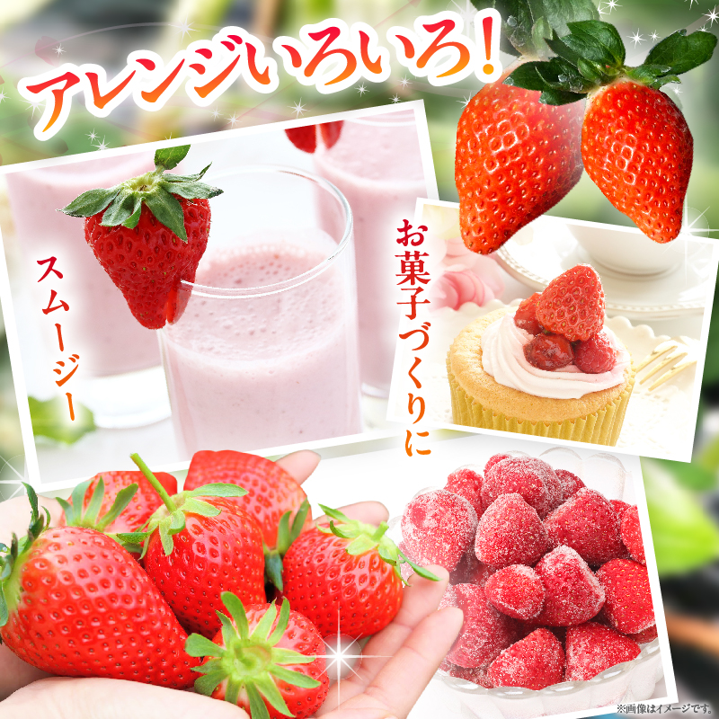 ≪訳あり≫都農町産「冷凍いちご(やよいひめ）」計1kg_T059-003【フルーツ 果物 デザート イチゴ 国産 人気 ギフト 食品 旬 苺 スムージー 果実 贈り物 送料無料 プレゼント】