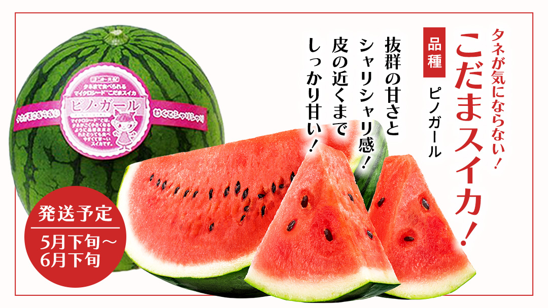 【 野菜ソムリエ 厳選 】 旬 の フルーツ 定期便 ( イチゴ スタート ) 4回 先行予約 果物 いちご イチゴ 苺 とちおとめ やよいひめ かおり野 すいか 小玉スイカ ピノガール トマト フル